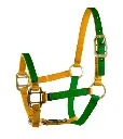 ALMATIGON_3_4_AMARILLO_VERDE.webp