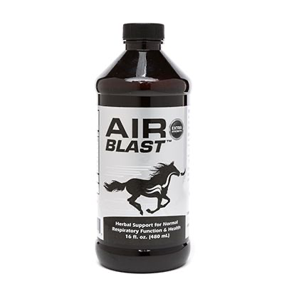 AIR BLAST EQUIADE 16 OZ
