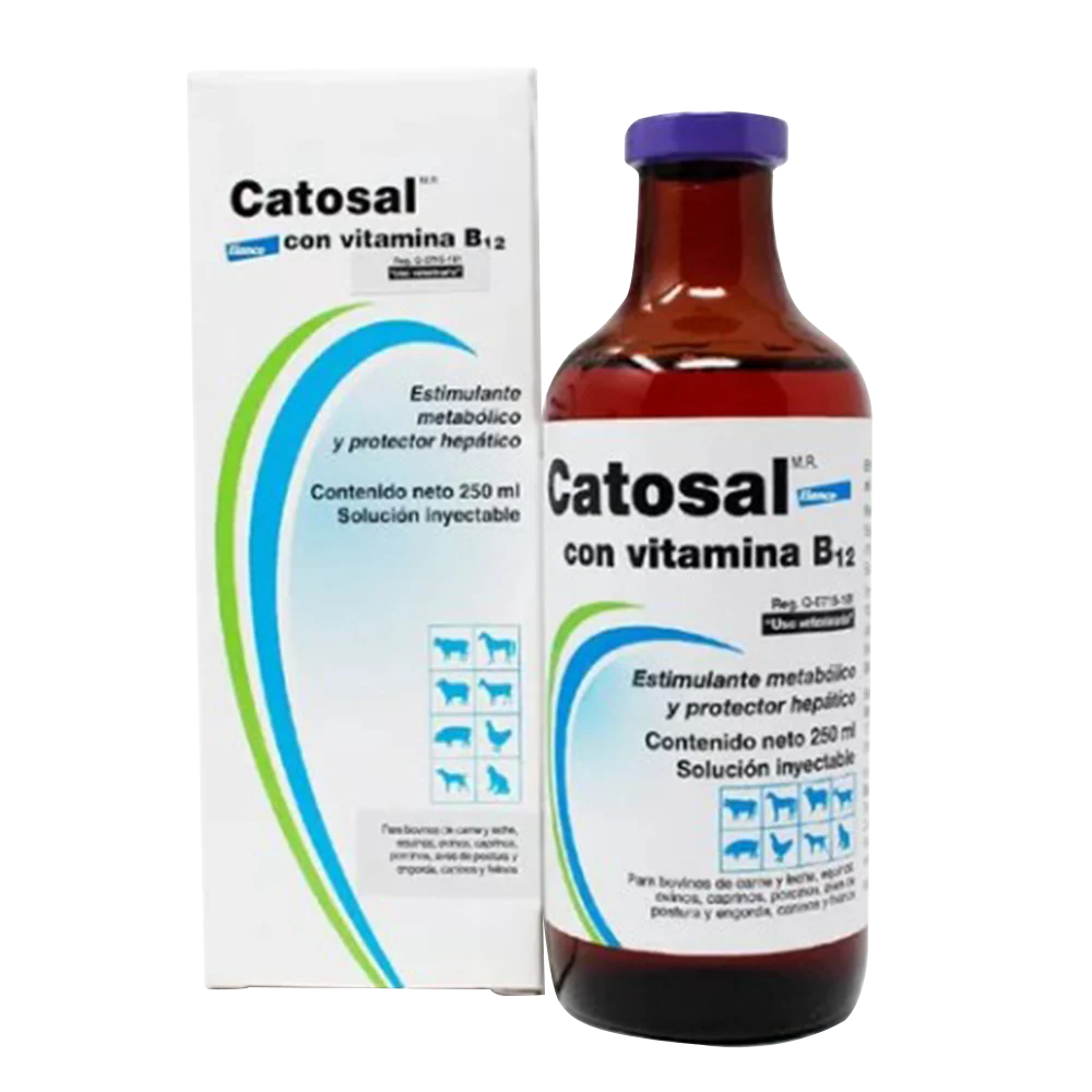 CATOSAL 250 ML