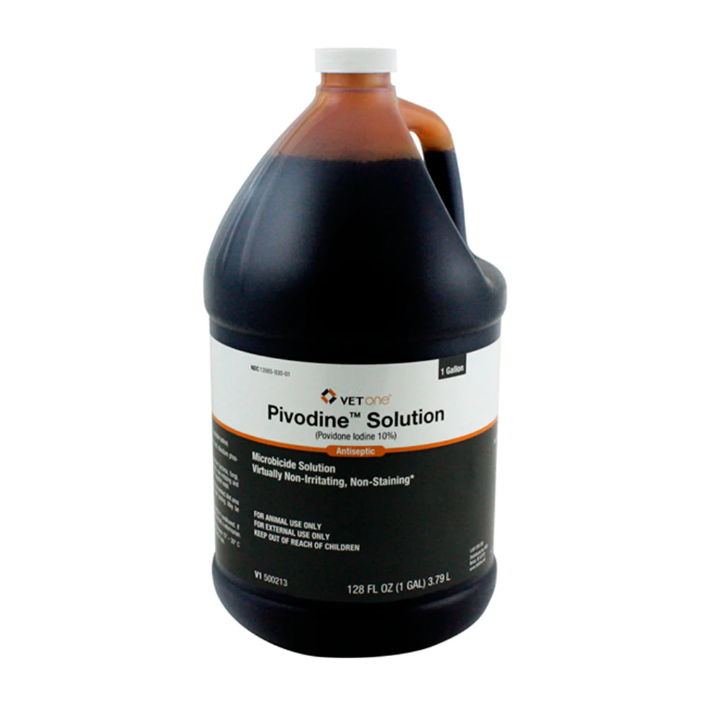 PIVODINE SOLUTION GALON YODO