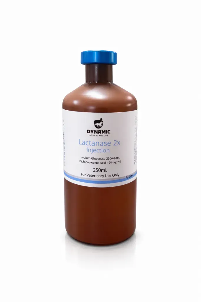 LACTANASE 2X 250 ML DYNAMIC