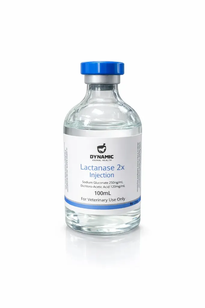LACTANASE 2X 100 ML  DYNAMIC