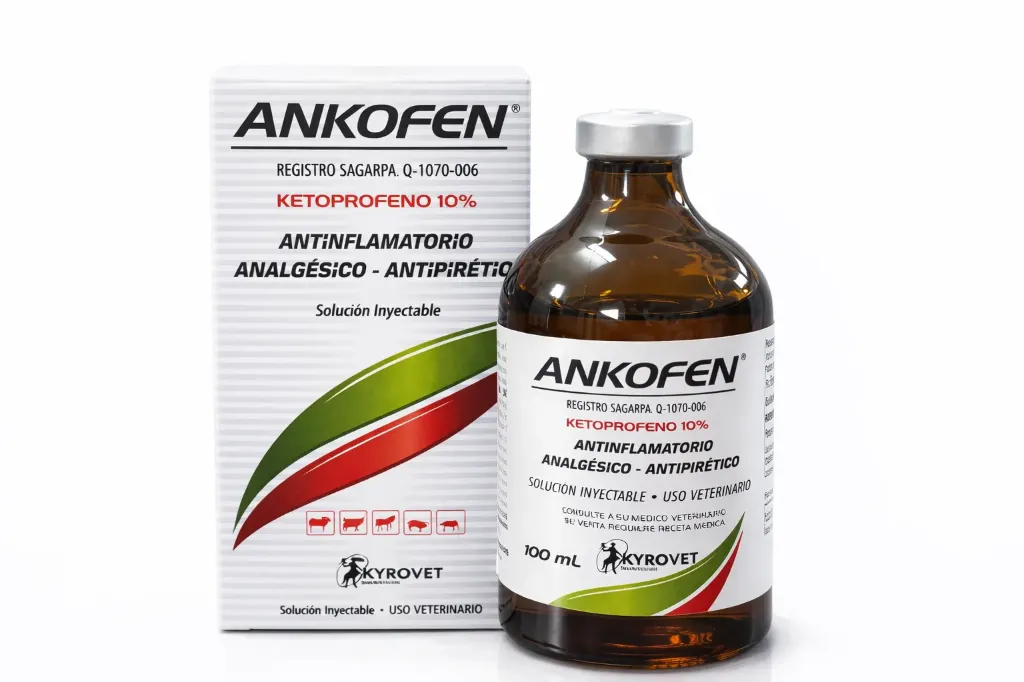 ANKOFEN KETOPROFENO 10% 100 ML