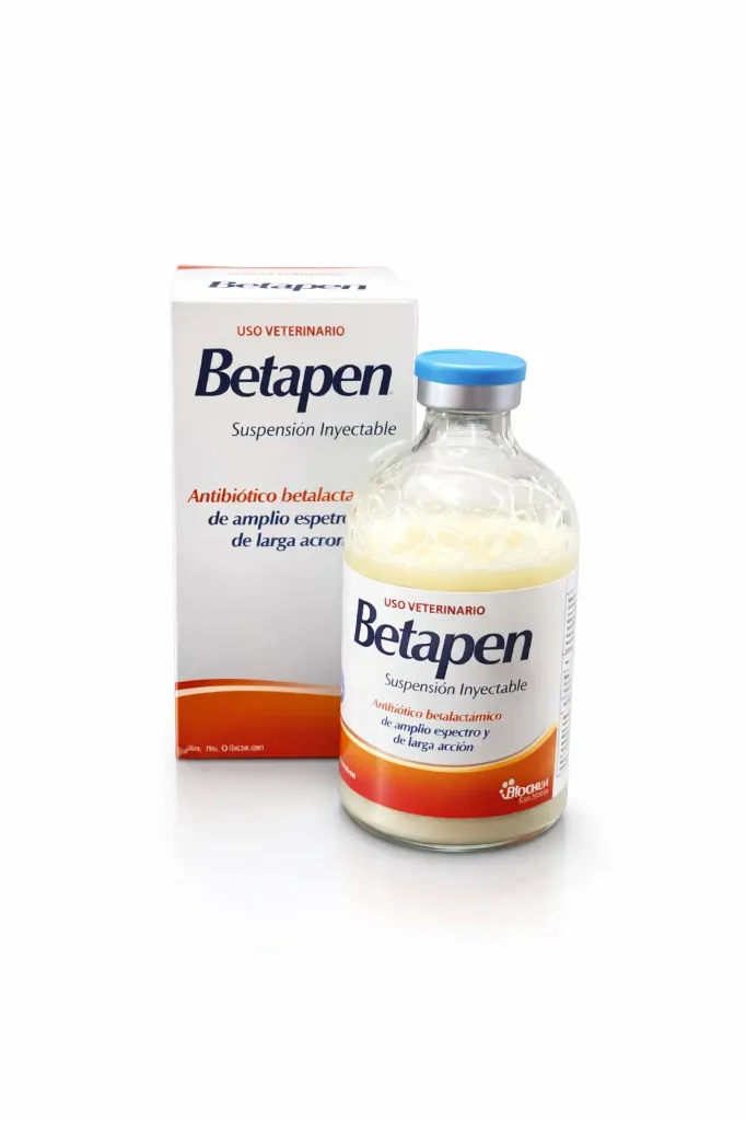 BETAPEN 100 ML 