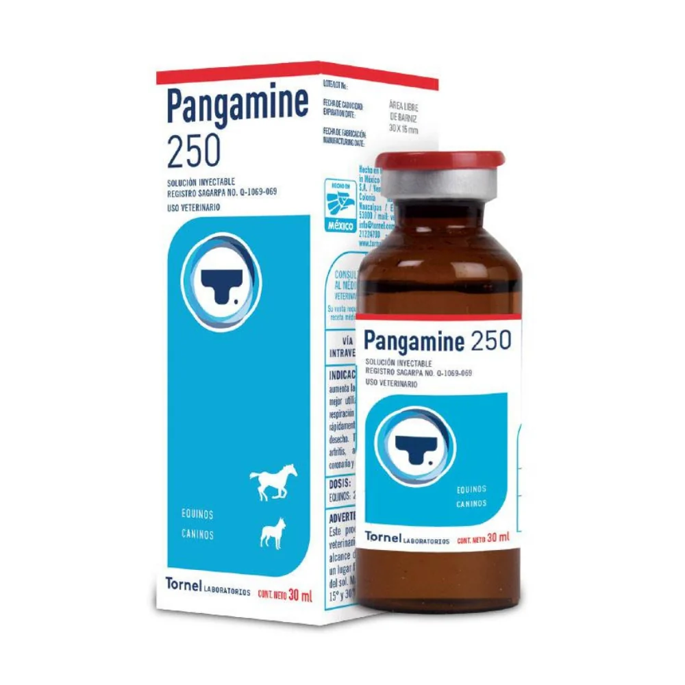 PANGAMINE -250 30 ML 