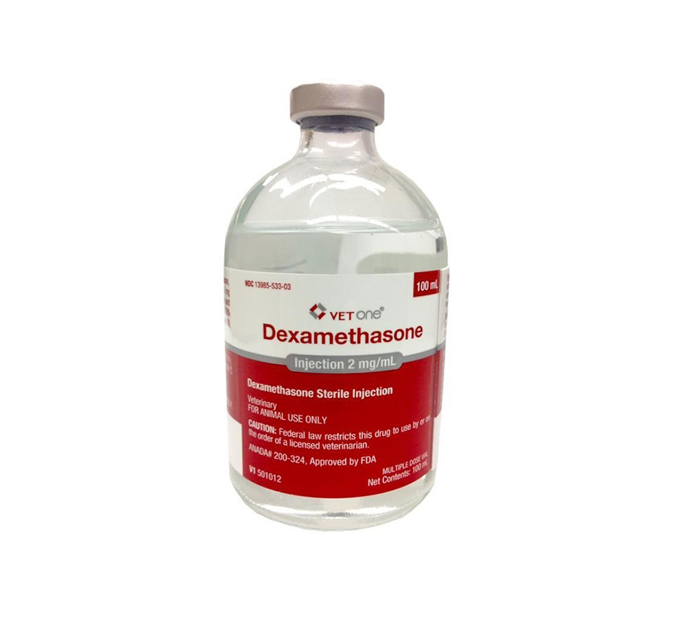 DEXAMETHASONE 100 ML