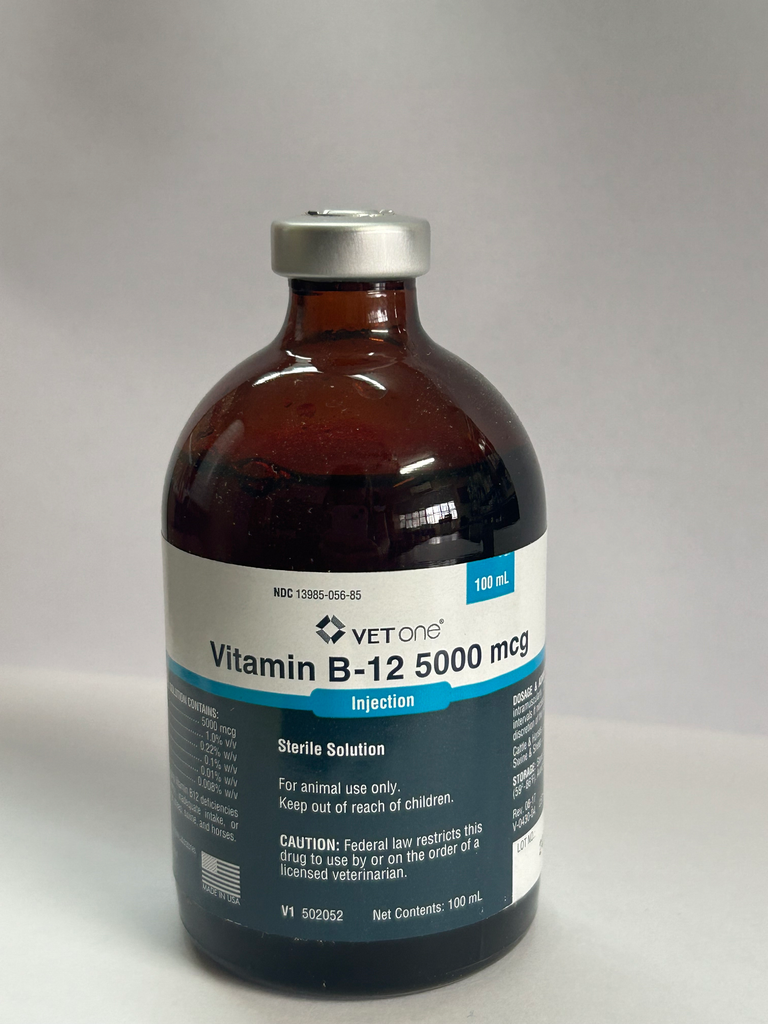 VITAMINA B 12 5000 MCG 100 ML