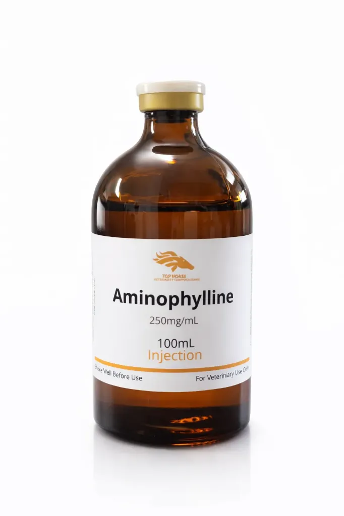 AMINOPHYLLINE 100 ML 