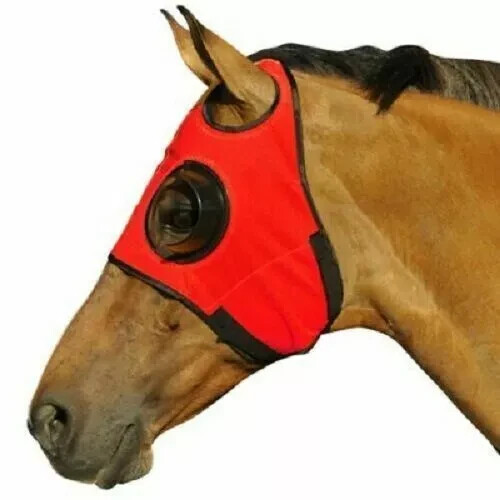 BLINKERS AMERICANOS
