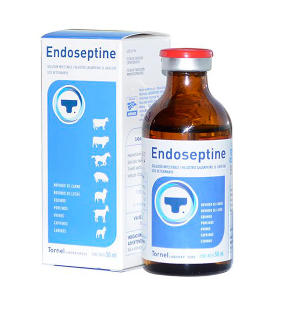 ENDOSEPTINE 50 ML