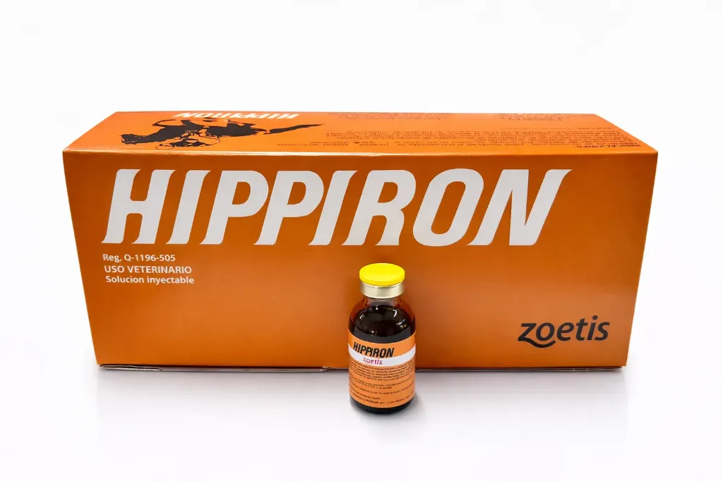 HIPPIRON 20 MG/ML HIERRO SACARATO