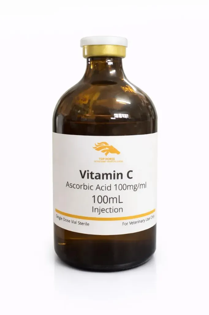 VITAMINA C 100 ML TOP HORSE