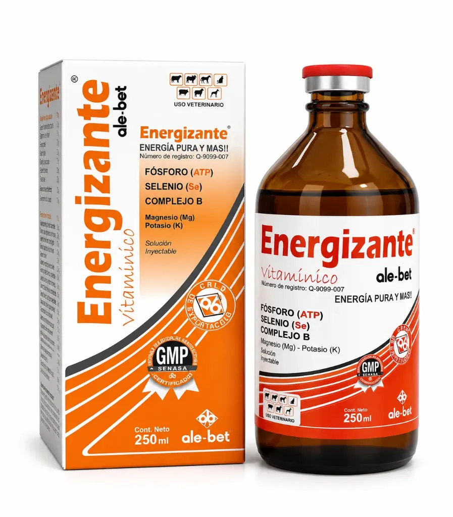 ENERGIZANTE 250 ML